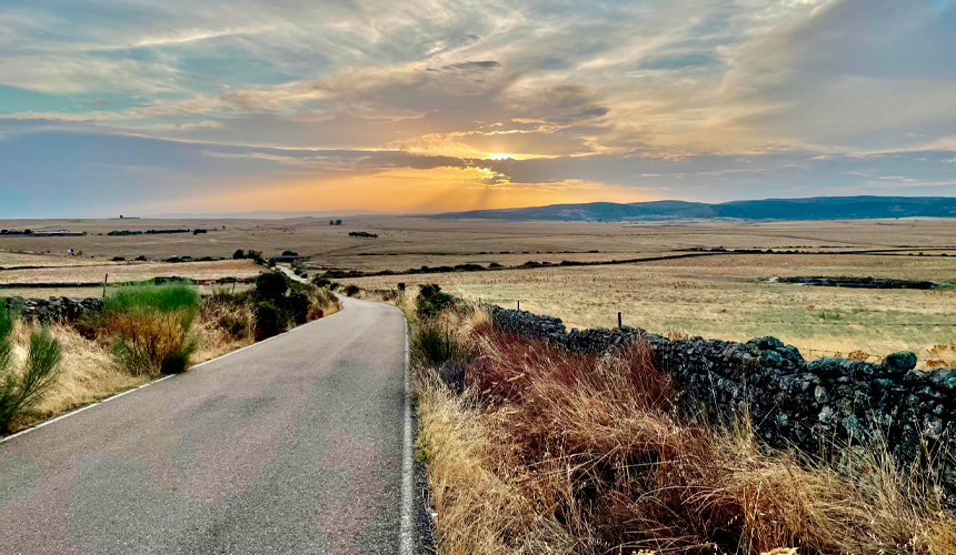 fugl i extremadura