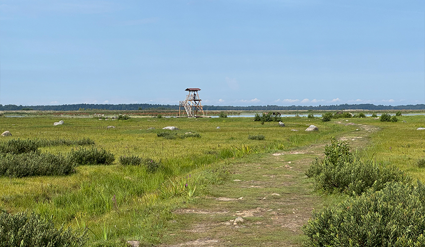 Oplev landet med den storslåede natur
