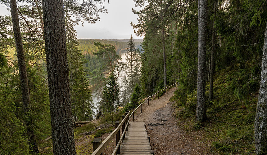 Oplev den vilde natur - så tæt på