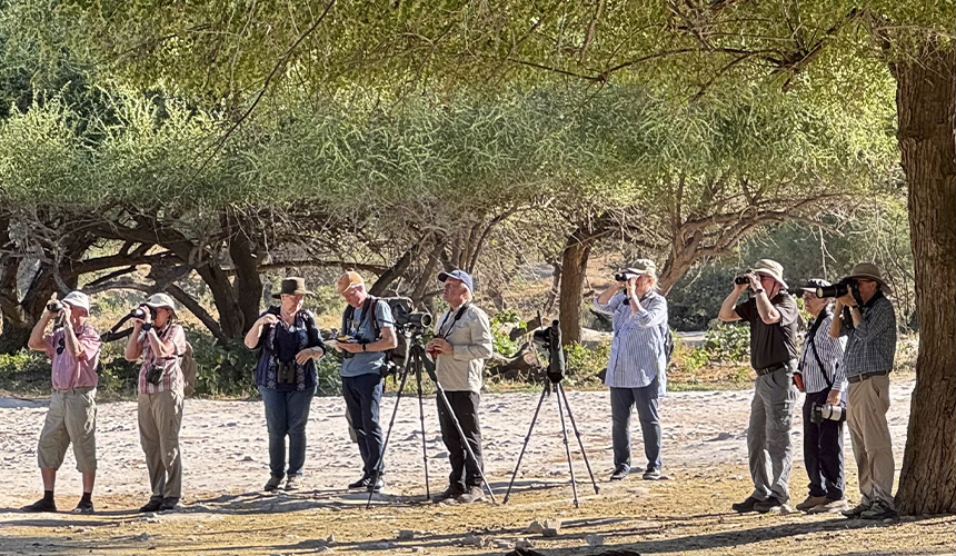 Oman byder på fugleliv og naturoplevelser i Salalah (aflyst)