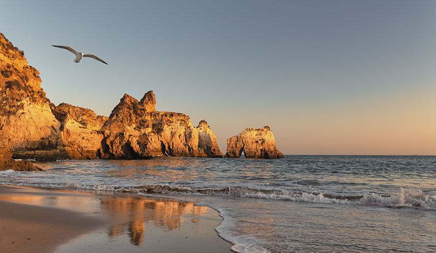 Oplev naturen og fuglene i Sydportugal og Spanien