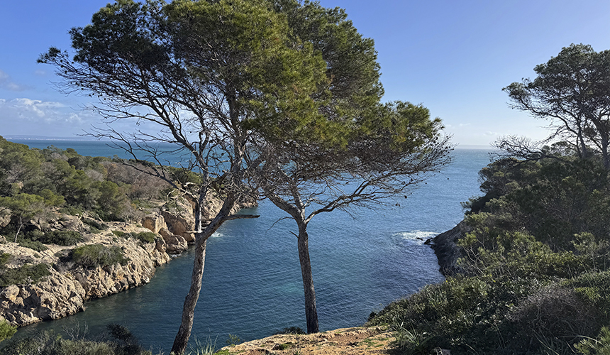 Vandreeventyr på smukke Mallorca