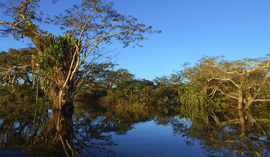 De helt store naturoplevelser i Costa Rica